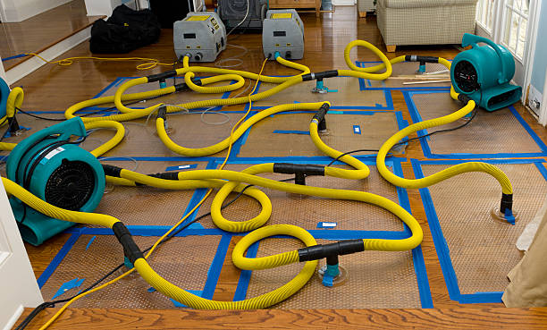 Professional Basement Flood Cleanup technician working in Olney Springs, CO